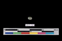 藏品(天河石)的圖片